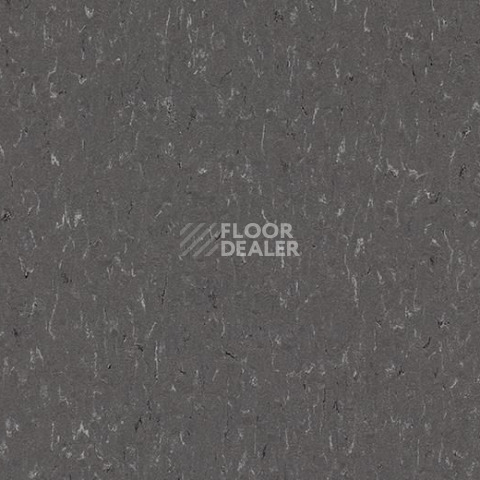 Линолеум Forbo Marmoleum Decibel on Order 360735 grey dusk фото 1 | FLOORDEALER